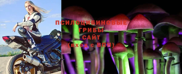 спиды Алексеевка