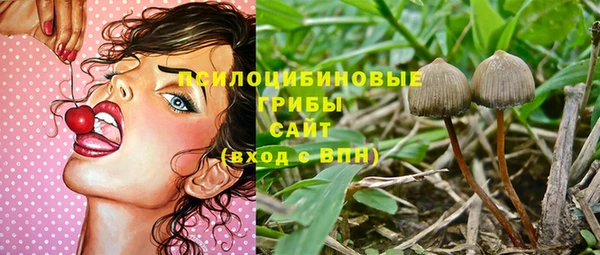 спиды Алексеевка