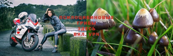 кокс Алзамай
