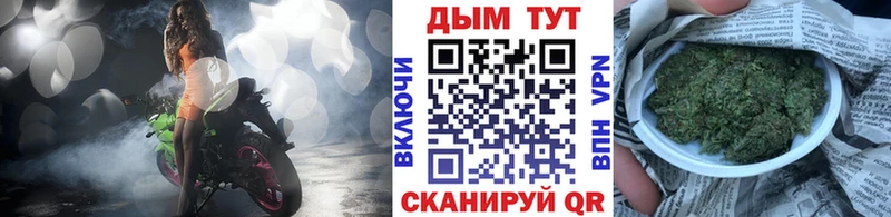 Канабис сатива Дмитров